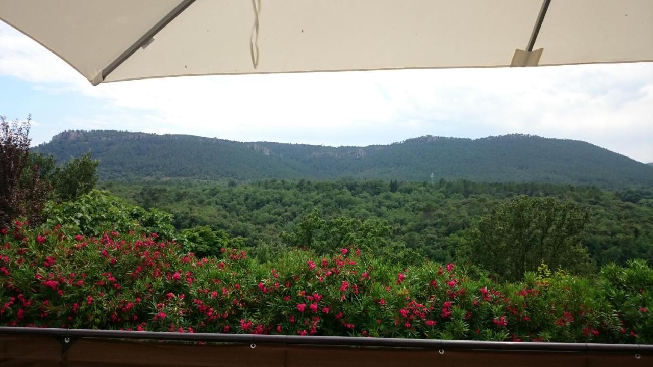 Bagnols-en-Forêt Au Relais Provencal酒店 外观 照片