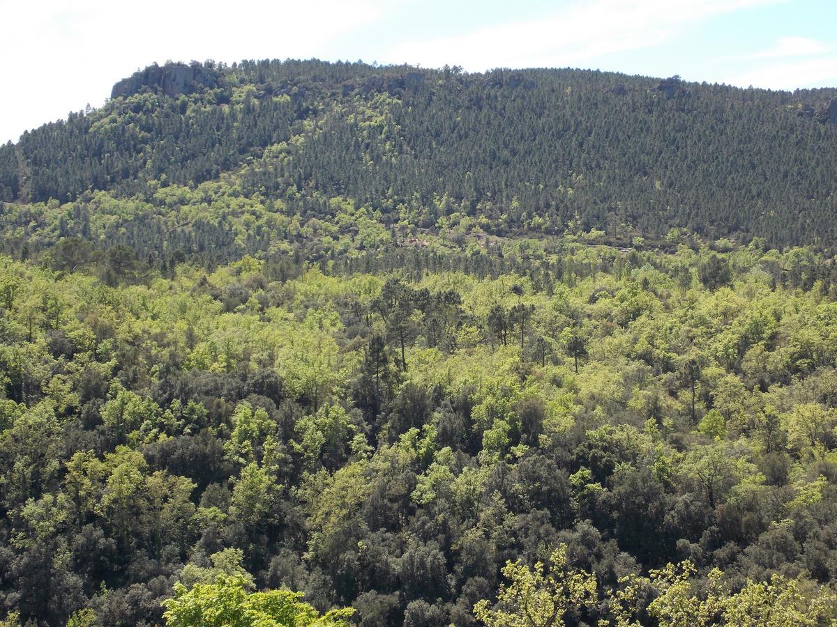 Bagnols-en-Forêt Au Relais Provencal酒店 外观 照片